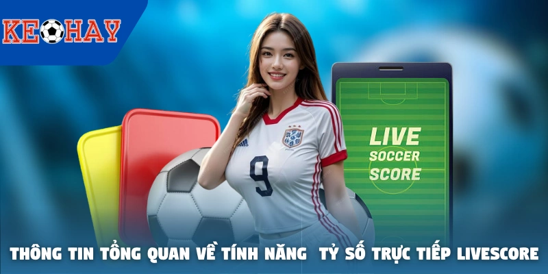 Thông tin tổng quan về tính năng  tỷ số trực tiếp livescore