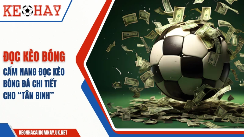 Cách Đọc Kèo Bóng Đá – Cẩm Nang Chi Tiết Cho “Tân Binh” 2025