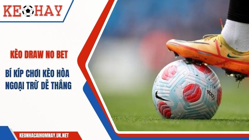 Kèo Draw No Bet – Bí Kíp Chơi Kèo Hòa Ngoại Trừ Dễ Thắng