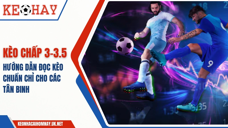 Kèo 3-3.5 Là Gì – Hướng Dẫn Đọc Kèo Chuẩn Cho Các Newbie