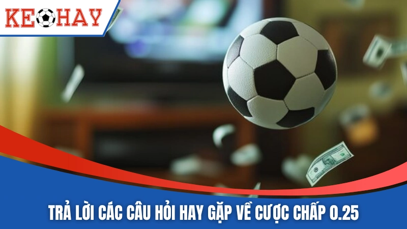 Trả lời các câu hỏi hay gặp về cược chấp 0.25