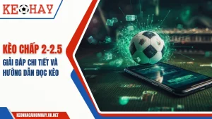 Kèo chấp 2-2.5 là gì