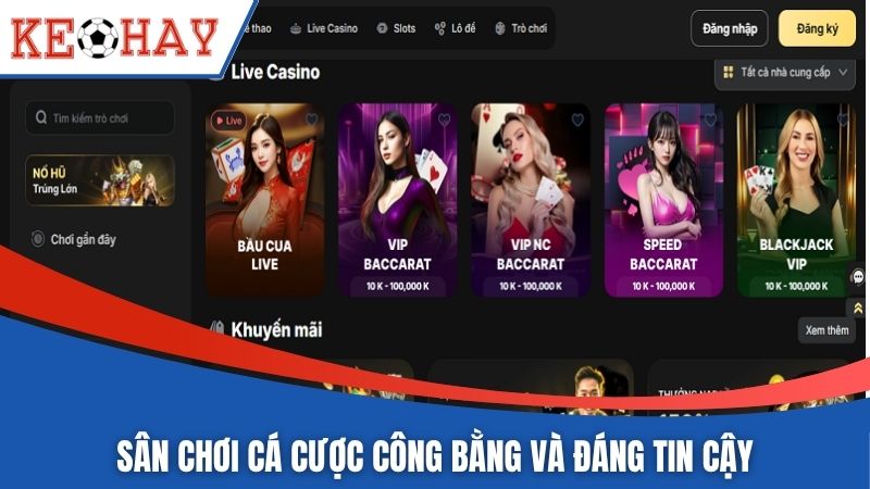 Sân chơi cá cược công bằng và đáng tin cậy