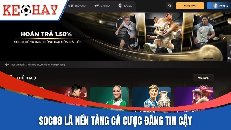 SOC88 là nền tảng cá cược đáng tin cậy
