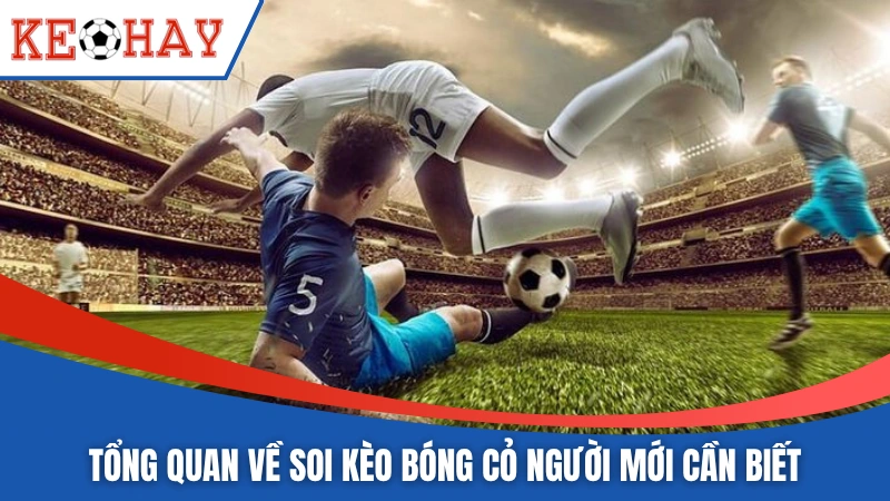 Bỏ túi các mẹo soi kèo bóng cỏ hiệu quả nhất