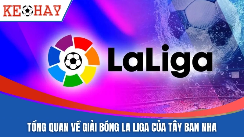 Tổng quan về giải bóng La Liga của Tây Ban Nha