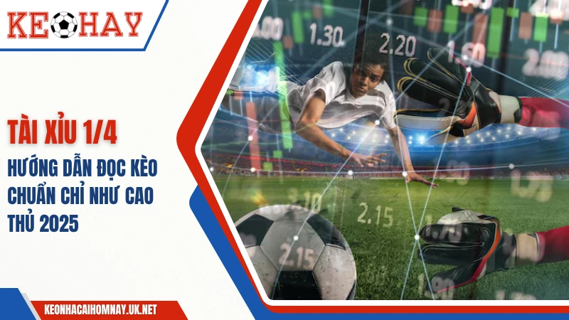 Tài Xỉu 1/4: Hướng Dẫn Đọc Kèo Chuẩn Chỉ Như Cao Thủ
