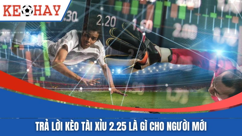 Trả lời kèo tài xỉu 2.25 là gì cho người mới