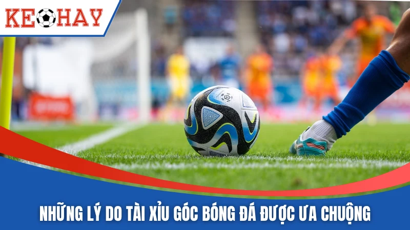 Những lý do tài xỉu góc bóng đá được ưa chuộng